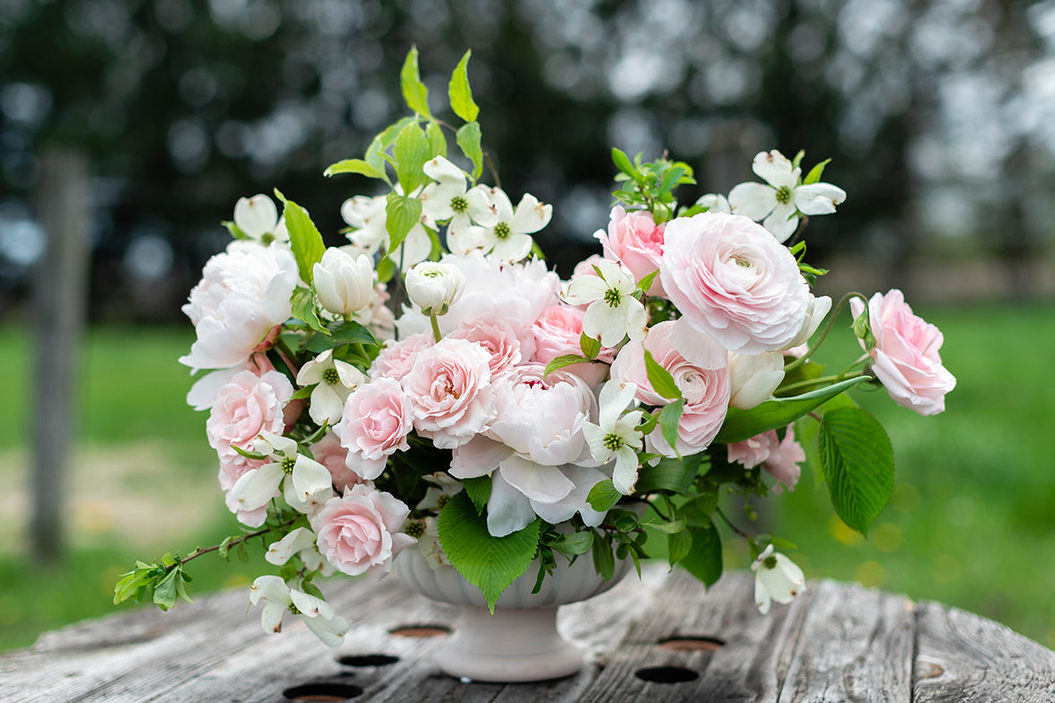 blushing beauty, mother's day flowers delivery nyc,